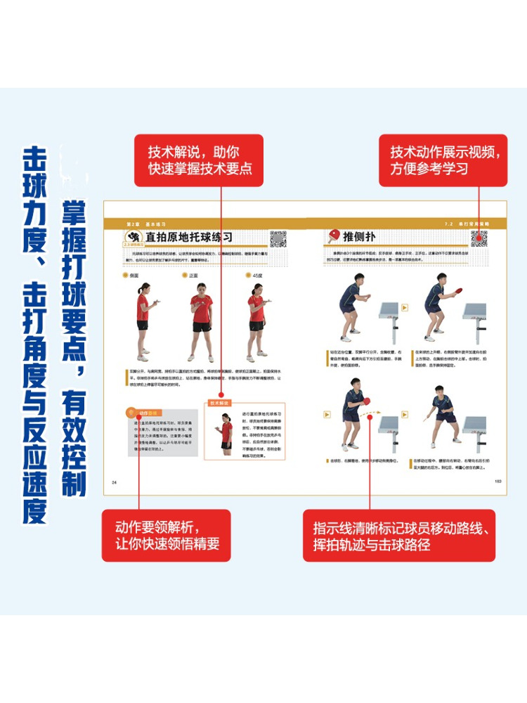 Book-Winshare Illustrated Tabl - đánh giá và giá Table Tennis Basic