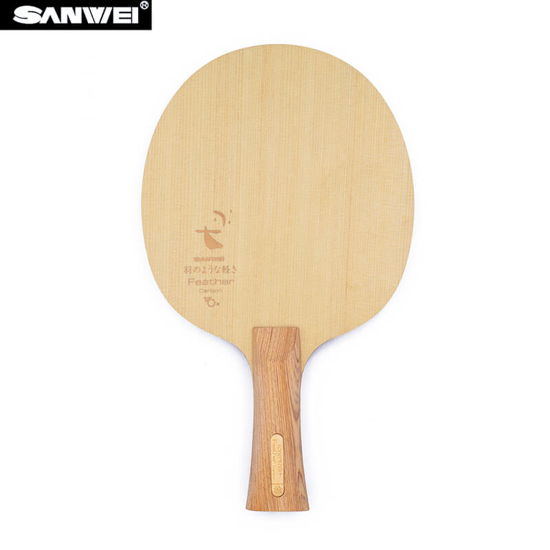 SANWEI Feather Carbon Table Te - đánh giá và giá Stiga Carbon Blade
